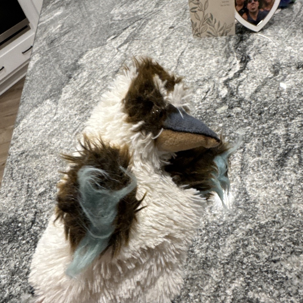 11" Kookaburra Australian Bird Soft Toy Hand Puppet Plush toy - talking - Picture 5 of 12